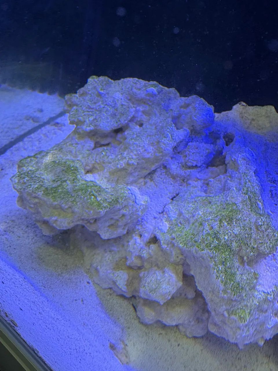 Aquário cubo água salgada  - Foto 4