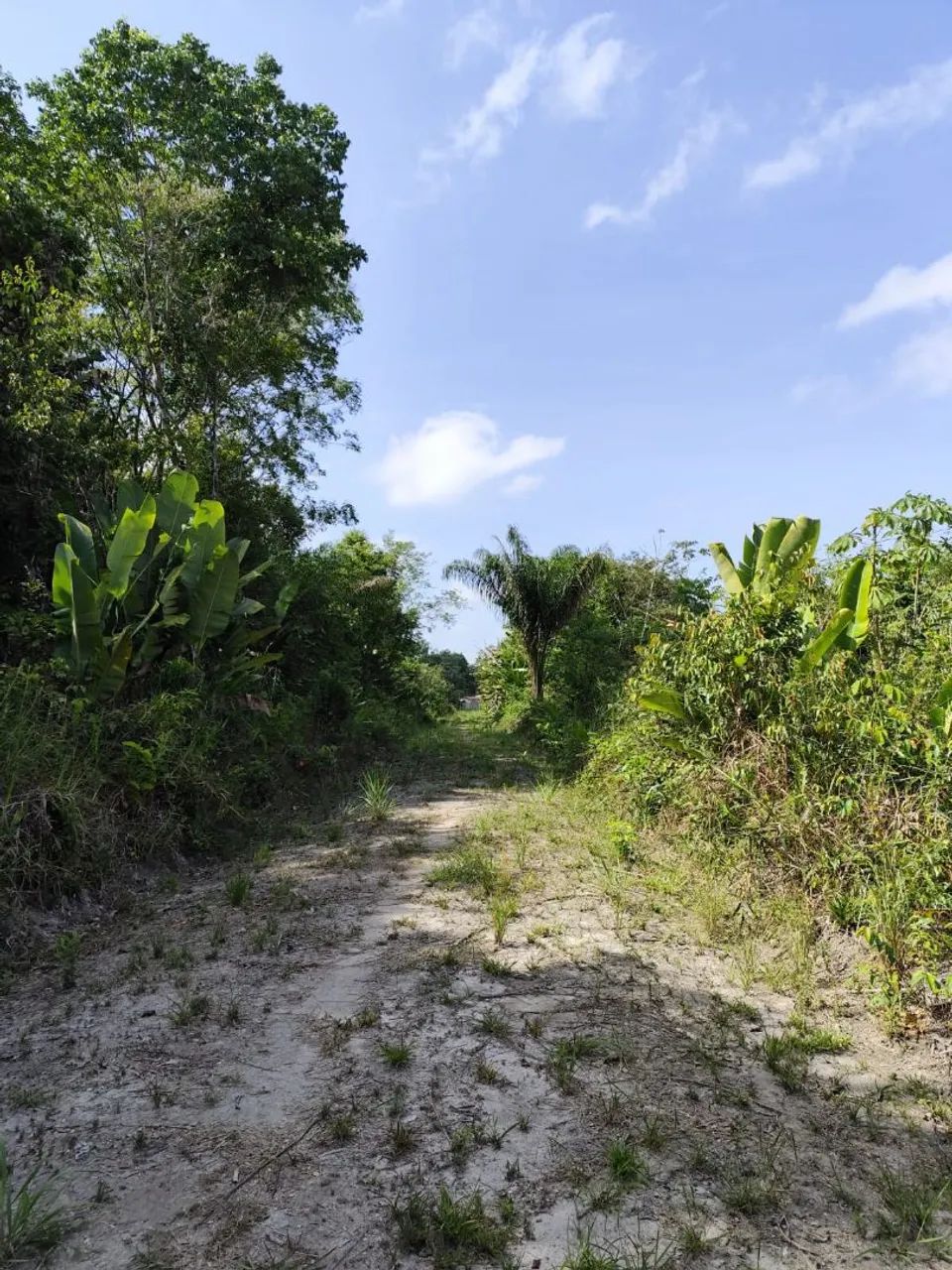 Terreno documentado em Abaetetuba  - Foto 2