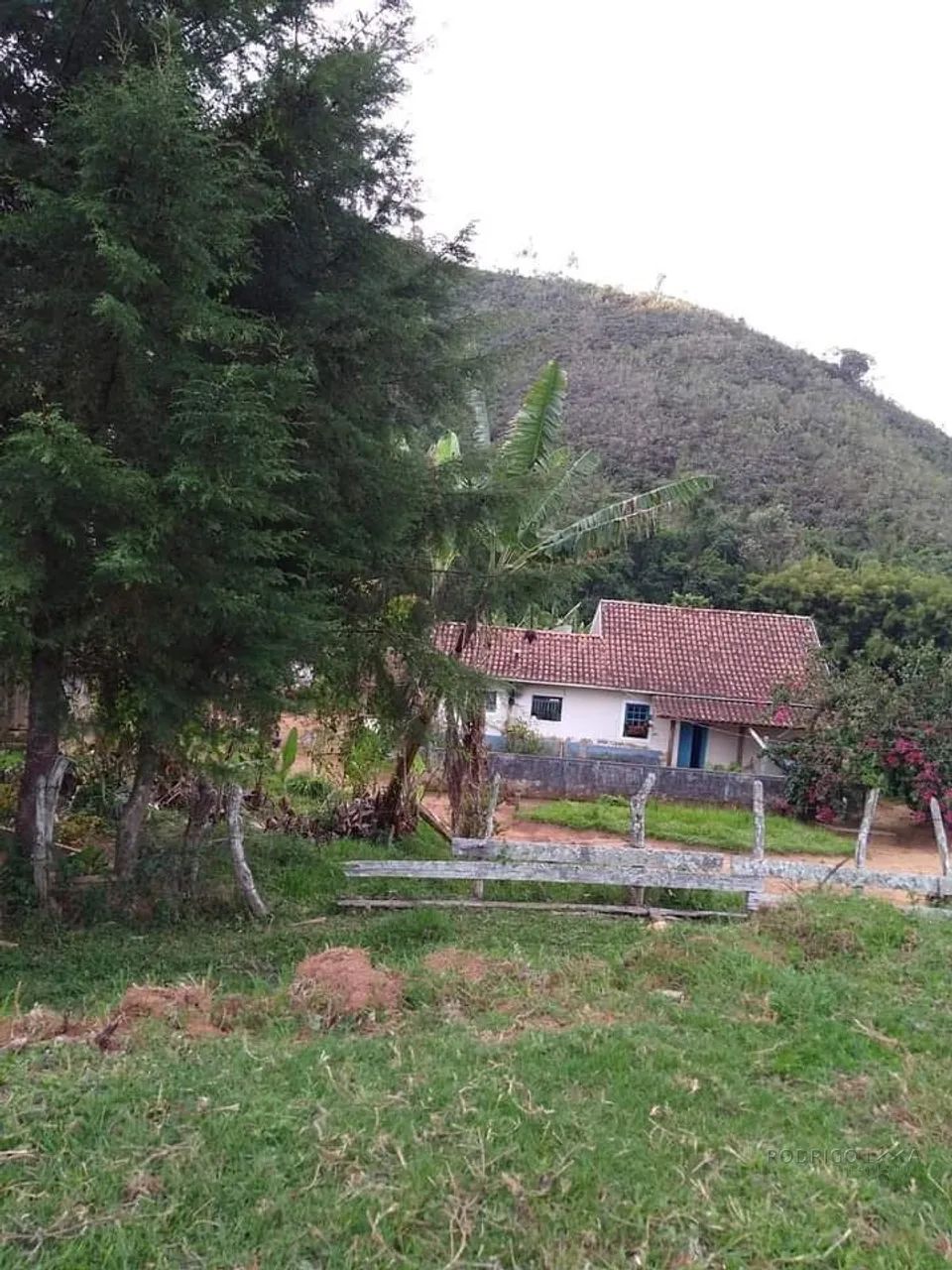 Sítio para venda em Carvalhos MG - Foto 2
