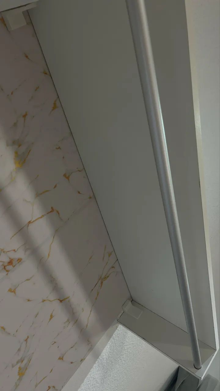arara bem conservada