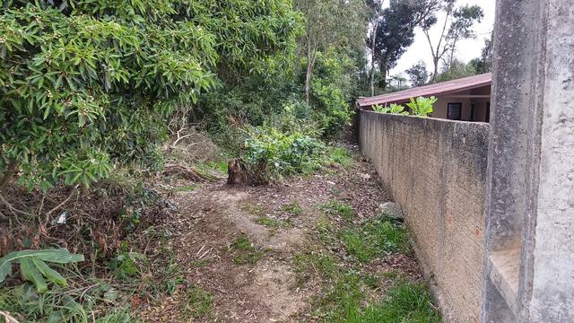 Terreno Colombo/Embu - Foto 5