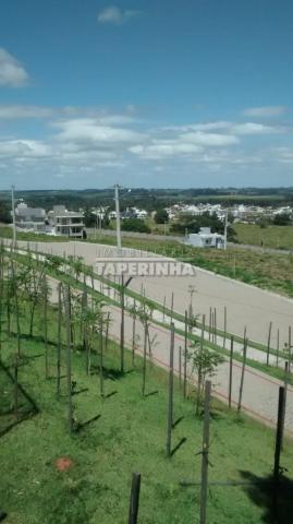 Terreno à venda em Tomazetti, Santa maria cod:10806 - Foto 13