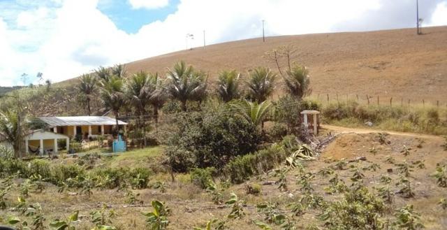 Propriedade de 37 hectares, com 20 hectares de plantio de banana, em Amaraji-PE! - Foto 3