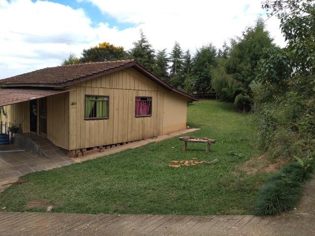 REF 2456 -Chácara Excelente na Serrinha, com 10.000 m², com uma casa - Foto 10