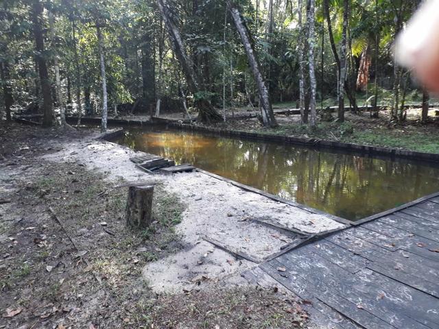 SÍTIO com igarapé - Foto 10
