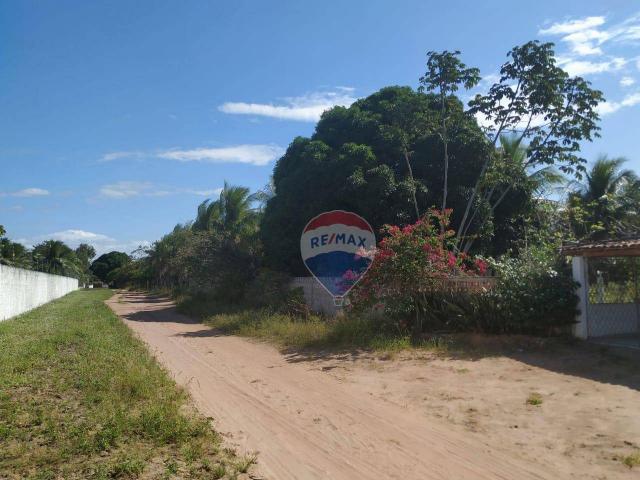 Chácara com 3 dormitórios para alugar, 100 m² por r$ 1.800,00/mês - zona rural - nísia flo - Foto 6
