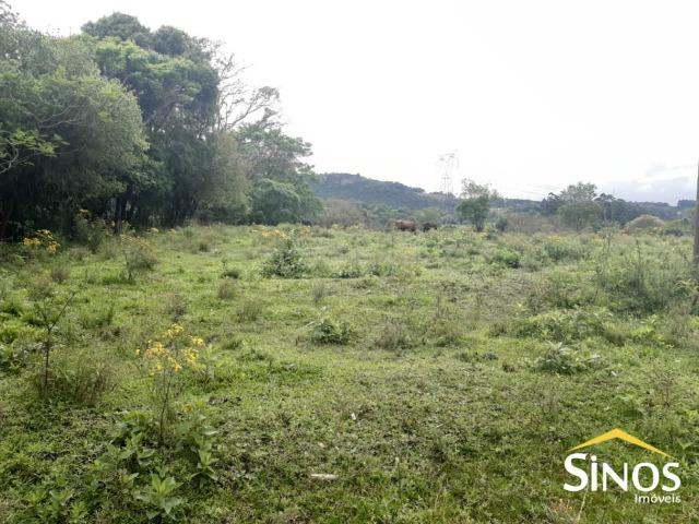 Sítio de 5.000,00 m² no Morro dos Bois em Lomba Grande - Foto 2