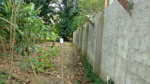 Terreno às margens da BR 408, Paudalho - PE - Foto 4