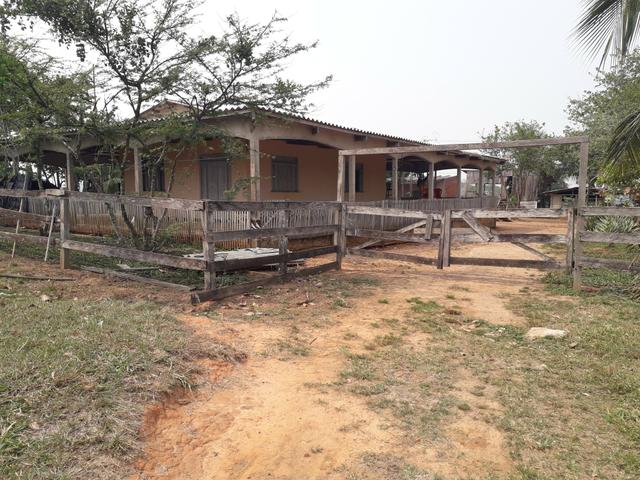 Colônia - Foto 11