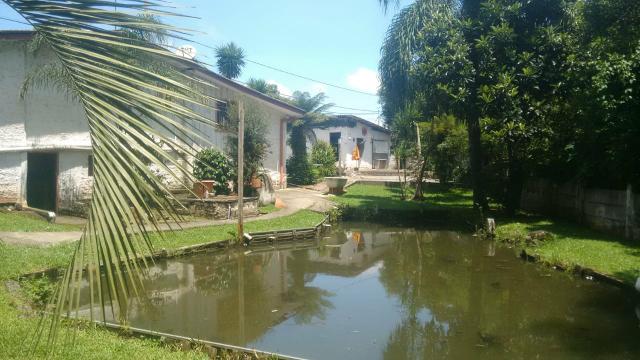 Chácara em São Jose dos pinhais - Foto 3