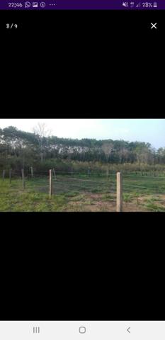 Colônia - Foto 4
