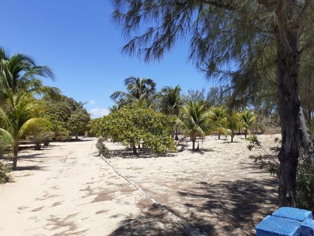 Alugo Chácara Centro de Tibau- RN - Foto 2