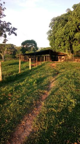 Propriedade rural - Foto 4