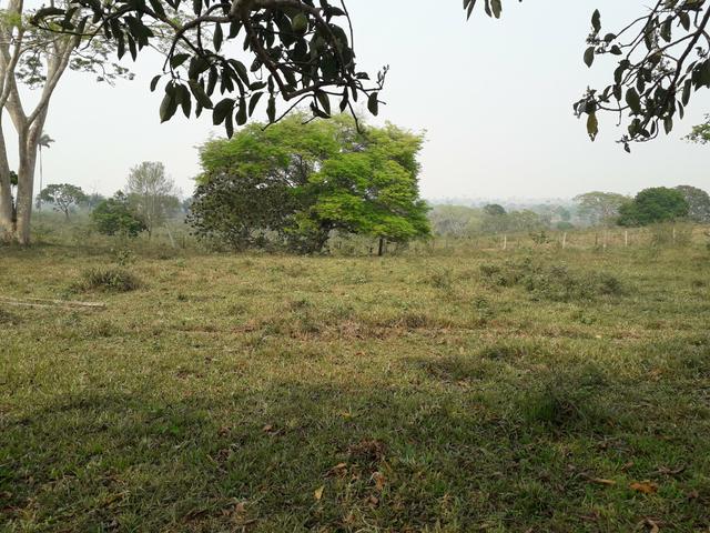 Colônia - Foto 3