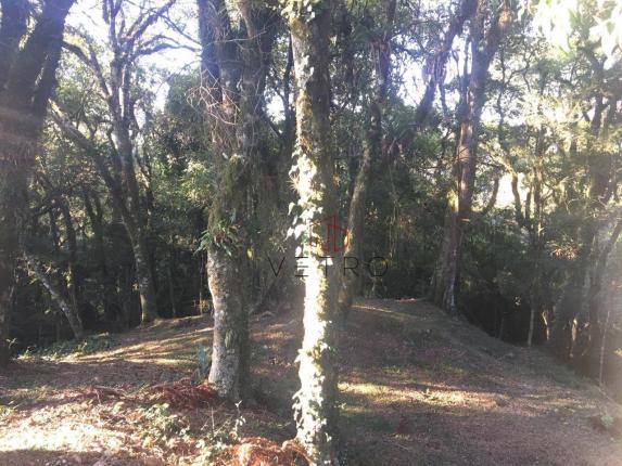 Amplo e em ótima localização, ideal para a edificação de um empreendimento! - Foto 6
