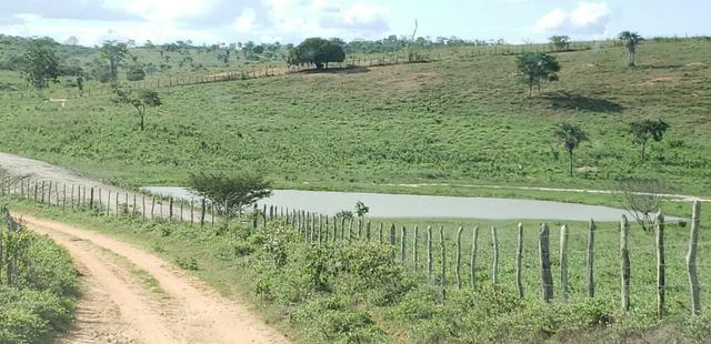 Maravilhosa fazenda na região rural de Baixa Grande Bahia, a 150 km de Feira de Santana - Foto 20