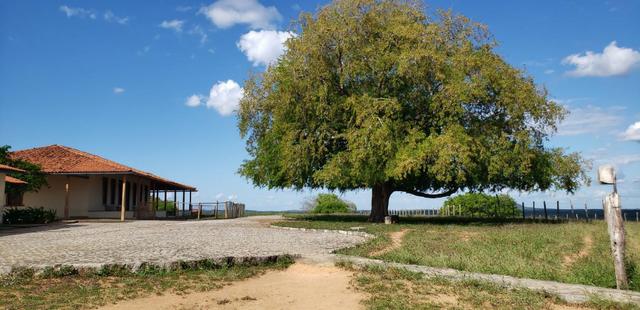 Maravilhosa fazenda na região rural de Baixa Grande Bahia, a 150 km de Feira de Santana - Foto 16