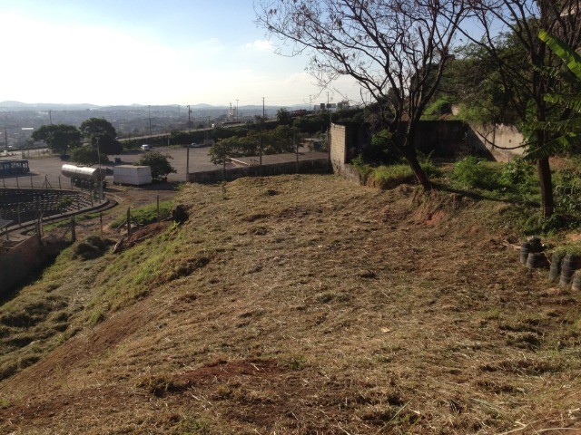 Excelente lote próximo a Puc Coração Eucarístico - Foto 5