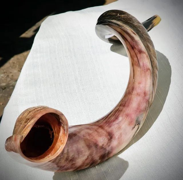 Shofar de Israel Kosher Semi Rústico Antiguidades Santa Cecília, Vitória 1185523486 OLX