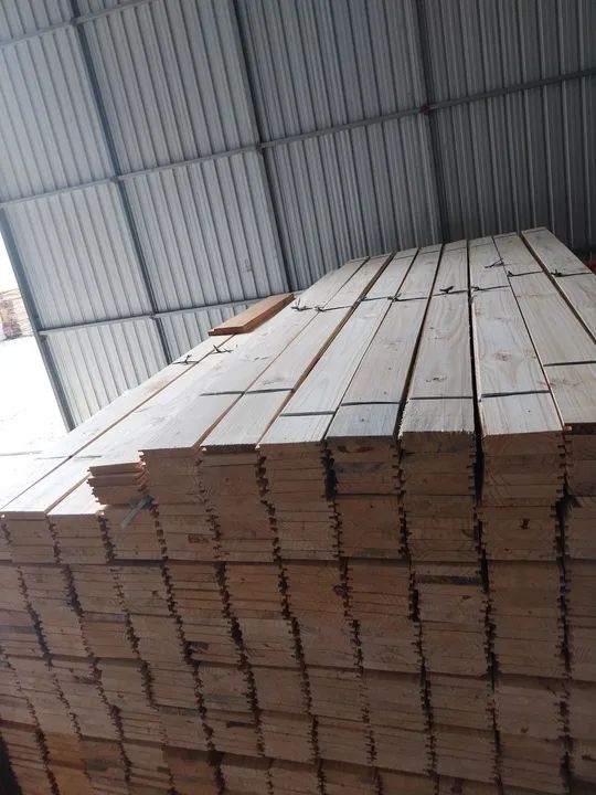 Forro e assoalho pinus 