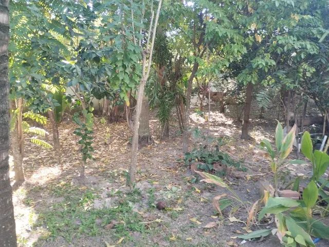 Casa Morro Cavado, Mato Alto, a 5 minutos de Campo Grande, local dos Sítios e Fazendas - Foto 3