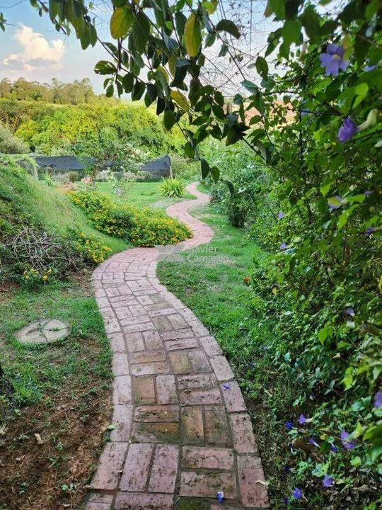 Chácara à venda em Charqueada - Foto 4