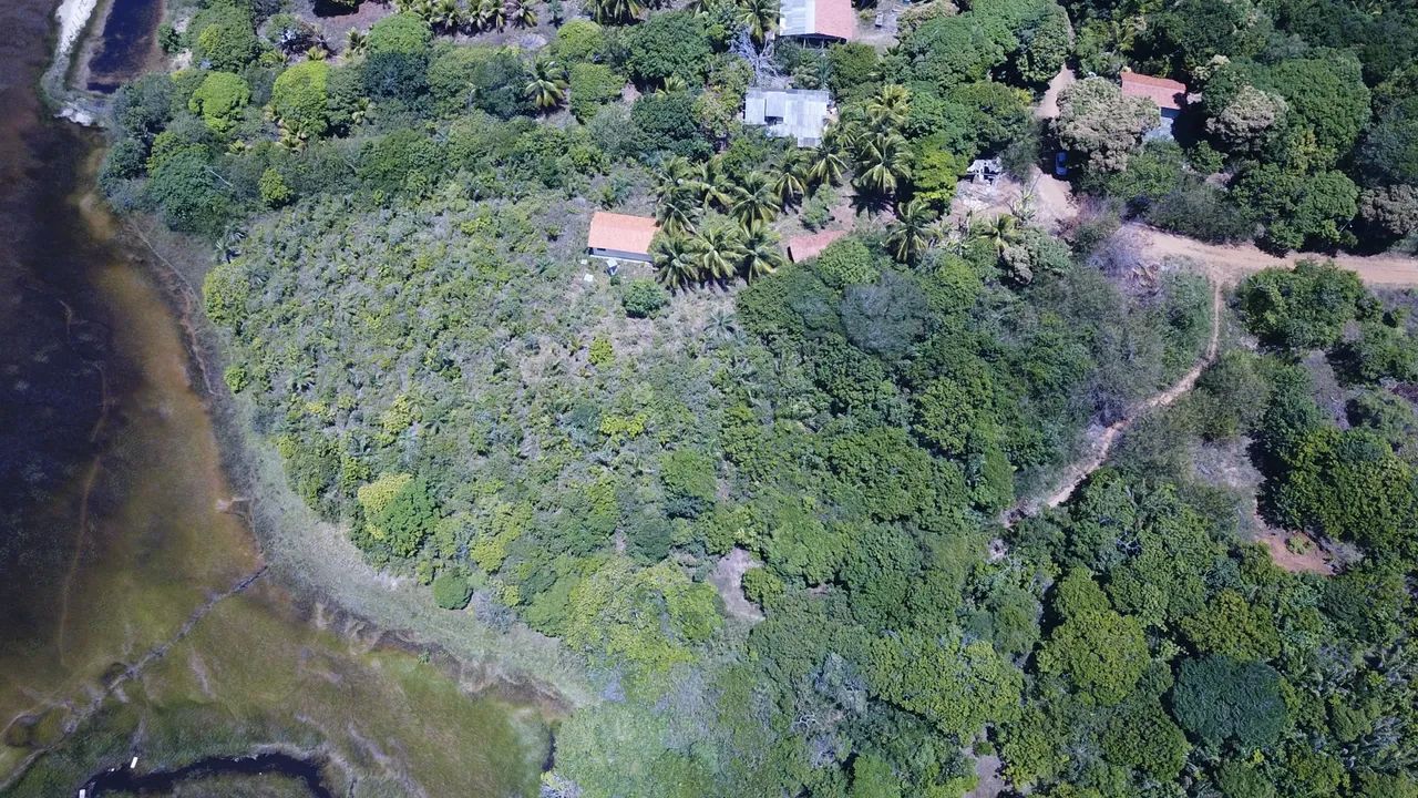 Sítio (litoral norte) 8600/mts2 Arembepe pé Rio - Foto 6