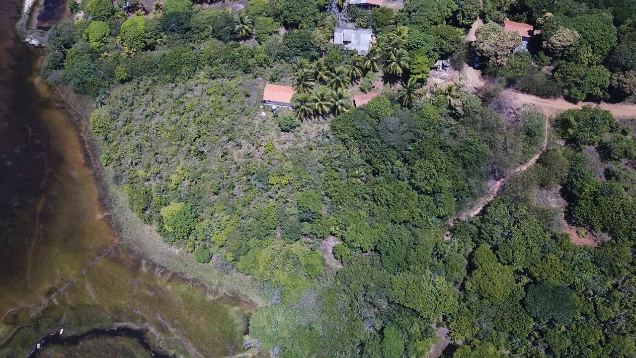 Sítio (litoral norte) 8600/mts2 Arembepe pé Rio - Foto 7