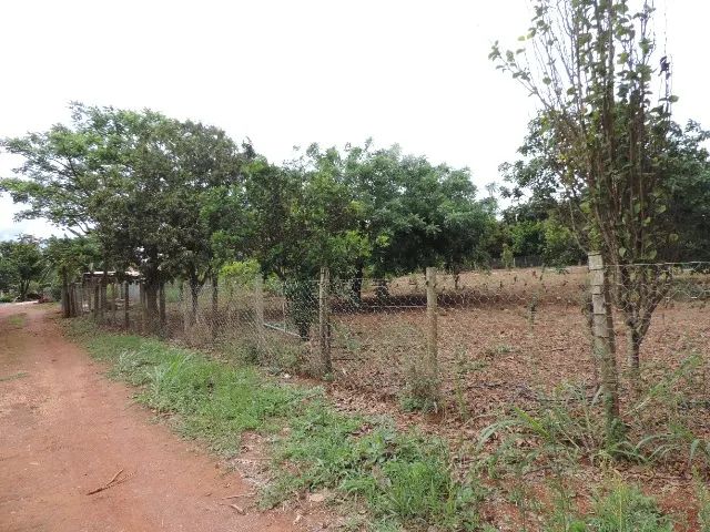 Vendo Chácara 64 --  Cascalheira 2 Hectares - Foto 6