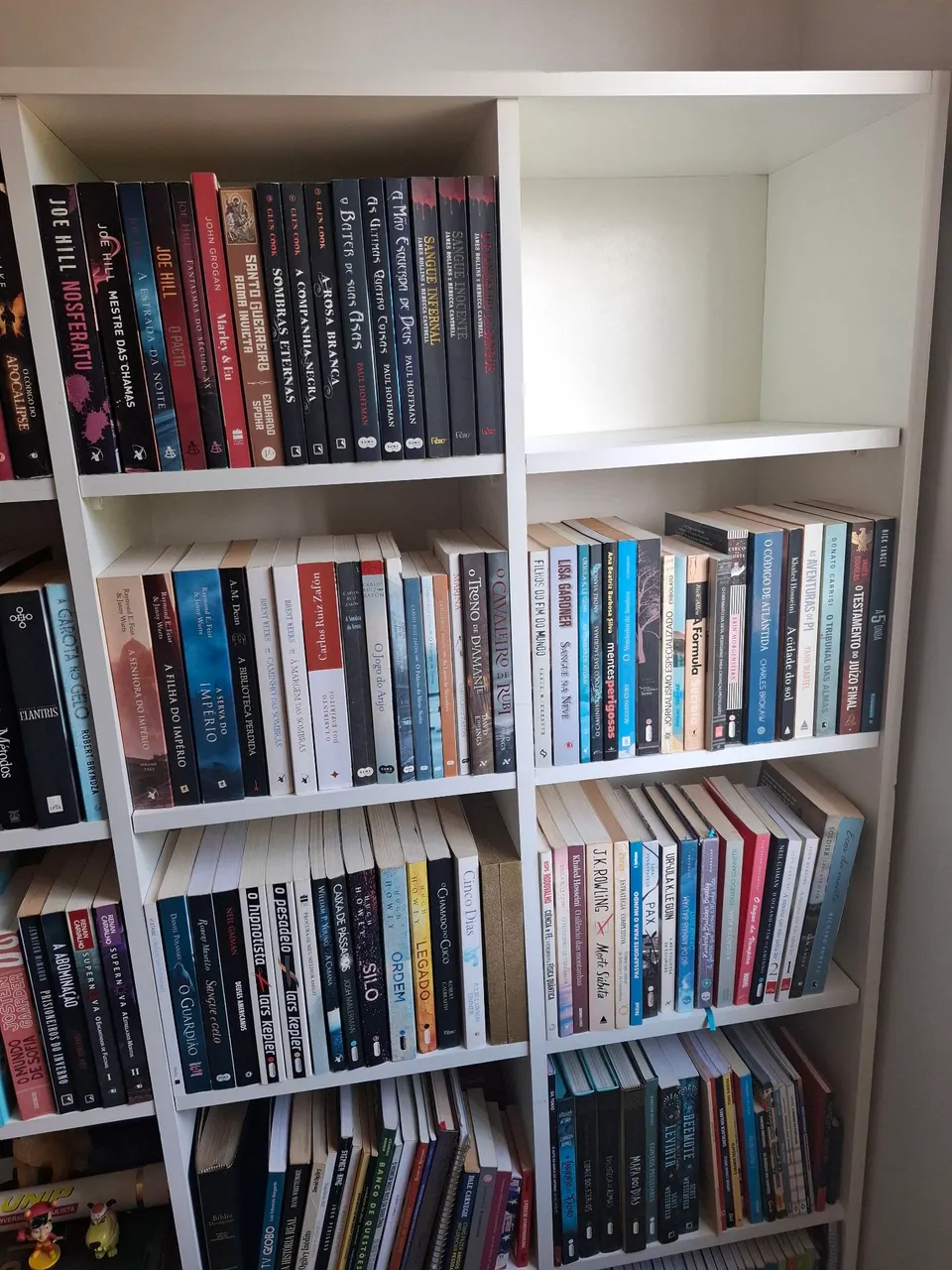 Estante de Livros Branca - Organização e Estilo