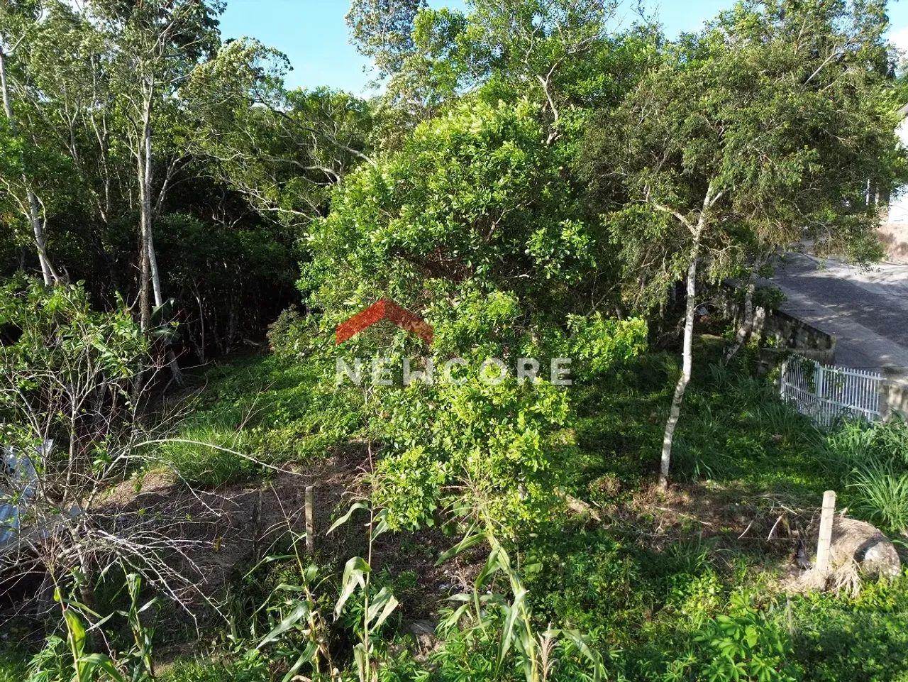 Lote em Rua Gécio de Souza e Silva - Sambaqui - Florianópolis/SC - Foto 2