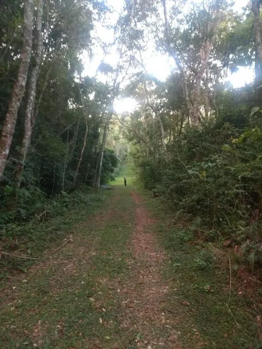 Terreno com área verde em local tranquilo - Foto 4