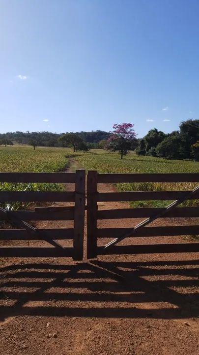 Propriedade Rural em Bela Vista de Goiás 
