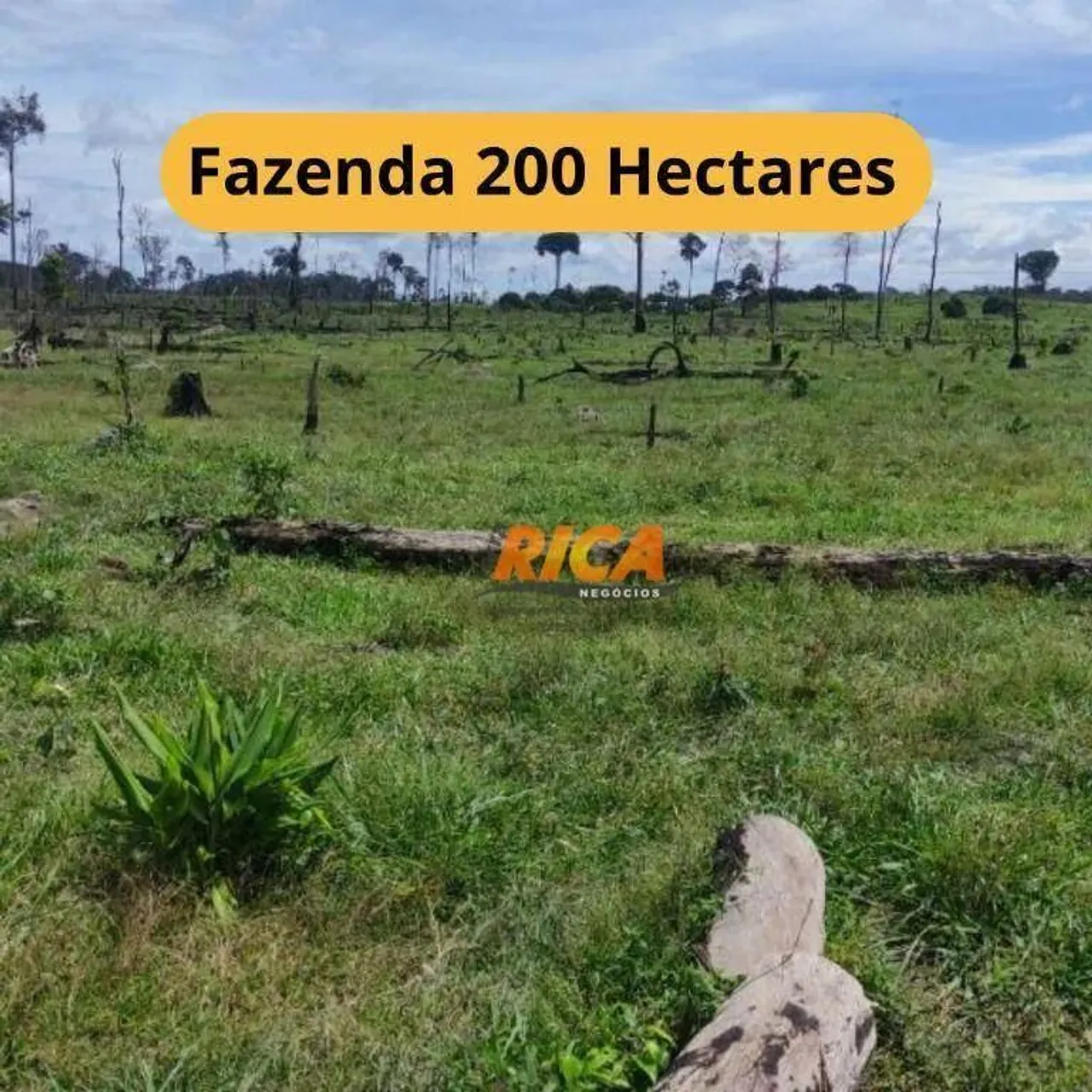 Fazenda à venda, com 200 hectares na Área Rural de Candeias do Jamari/RO