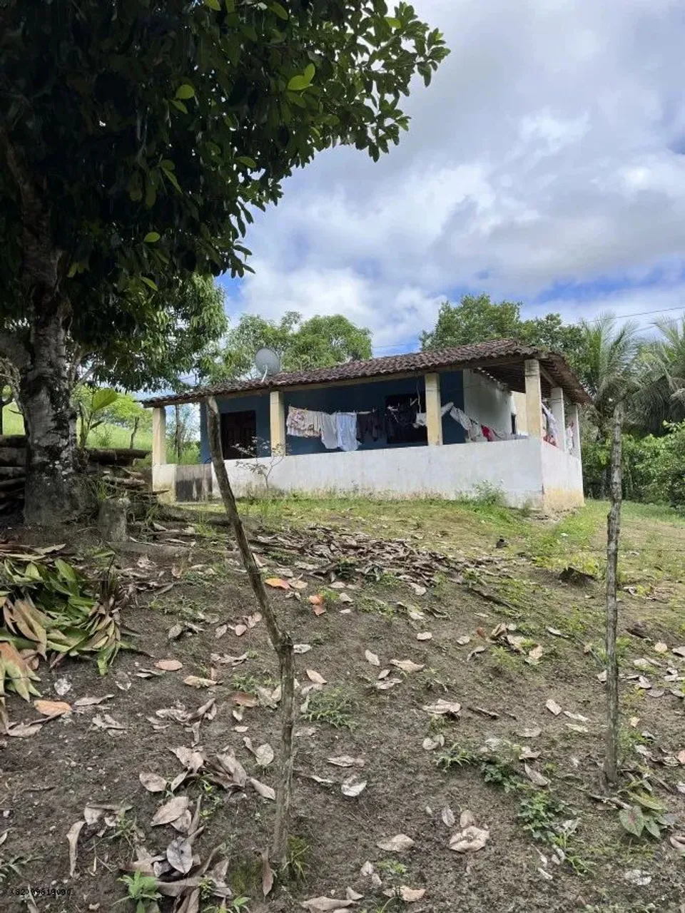 Sítio para Venda em Flexeiras, Centro, 3 dormitórios, 1 banheiro