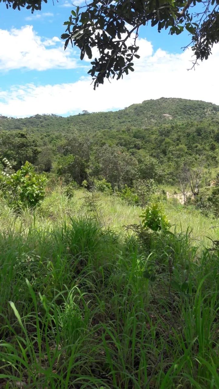 FAZENDA 43,5 ALQ  - Foto 7