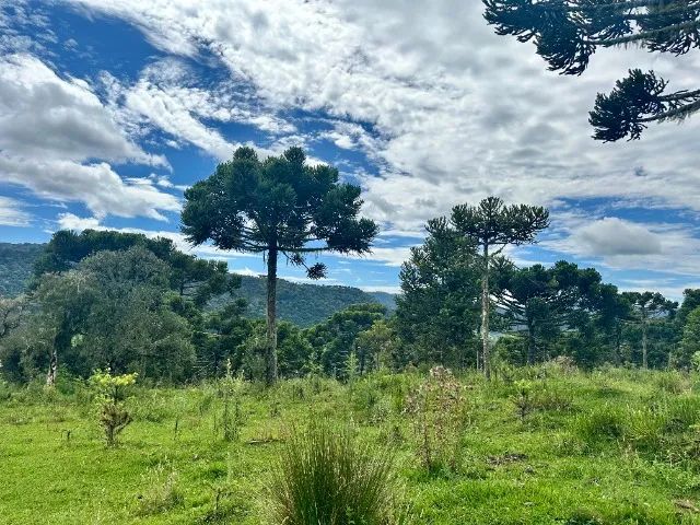 Chácara em Bom Sucesso - Foto 2