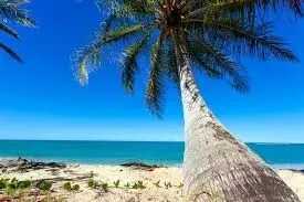 PRAIA DE RAPOSA: Ilha a venda com duas casas no Município da Raposa-MA