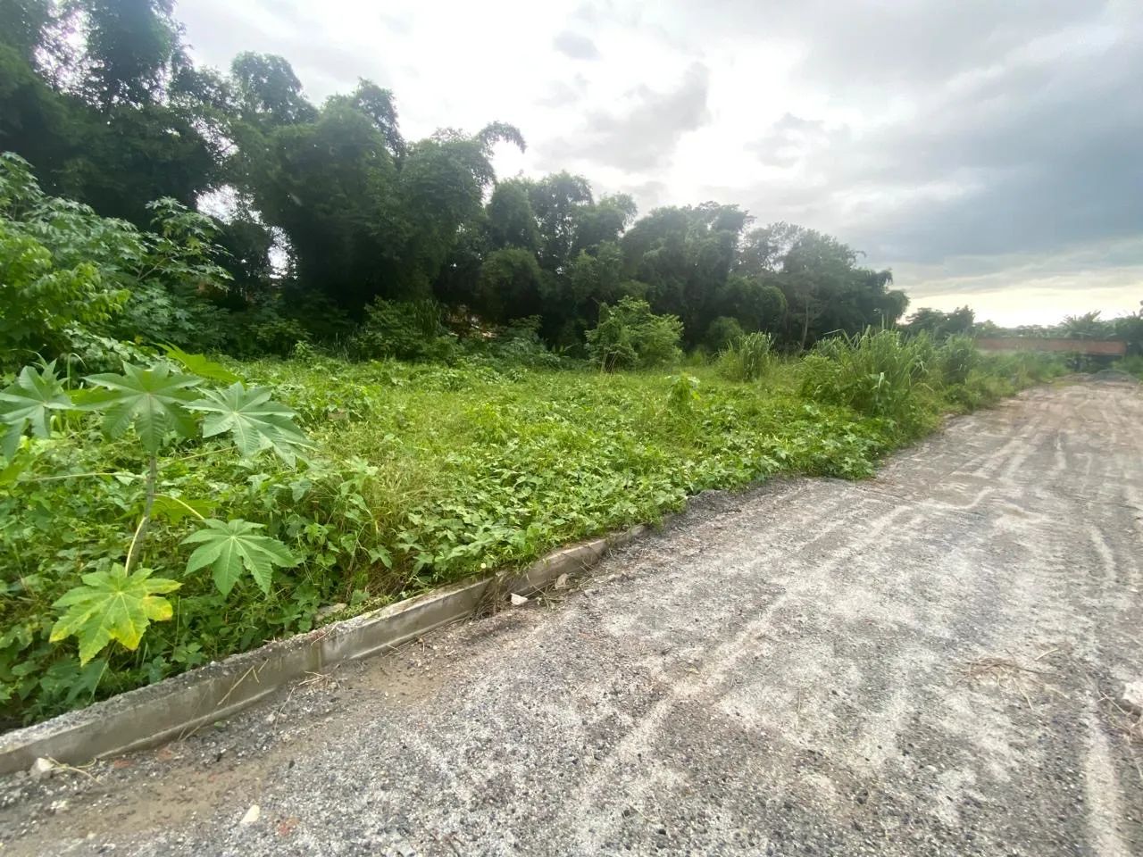 Terreno a venda ! - Foto 12