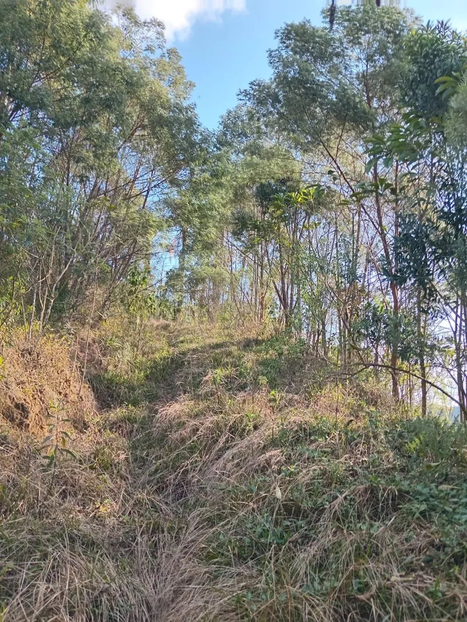 Terreno à venda em Antônio Carlos - Bairro Egito | - Foto 4