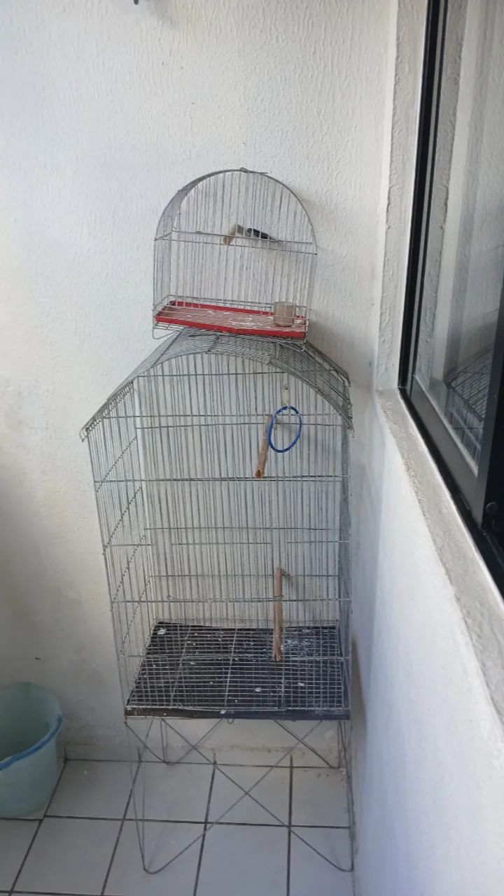 Gaiolas e acessórios. 