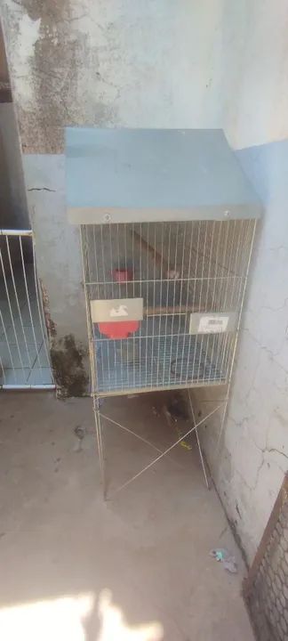 Gaiola para pássaros - Foto 2