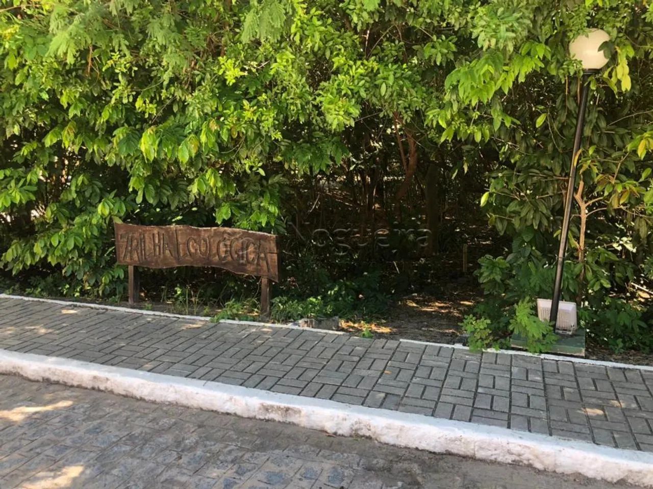 Apartamento/Padrão - Residencial - No bairro Nossa Senhora da Conceição -  Residencial Por - Foto 2
