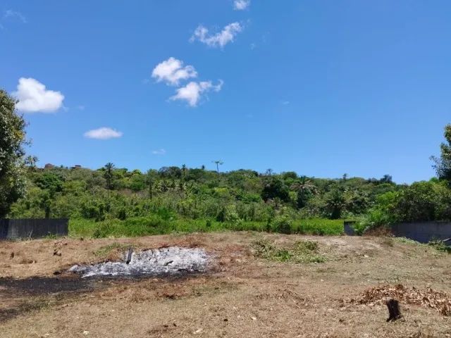 Vendo - Lote - Murado - Barra de Pojuca - Foto 10