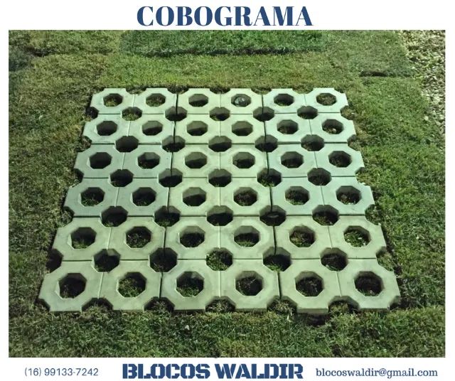 Pisograma - Foto 2