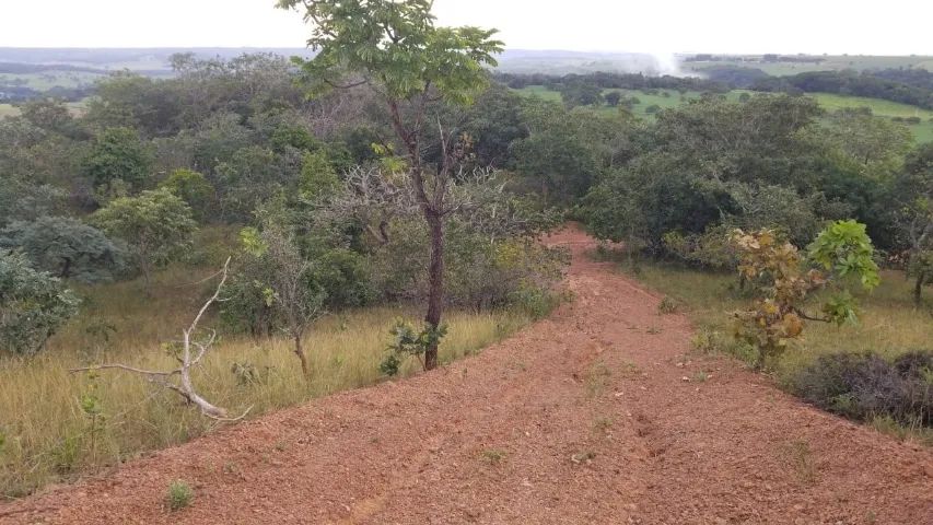 Propriedade Rural em Bela Vista de Goiás  - Foto 3