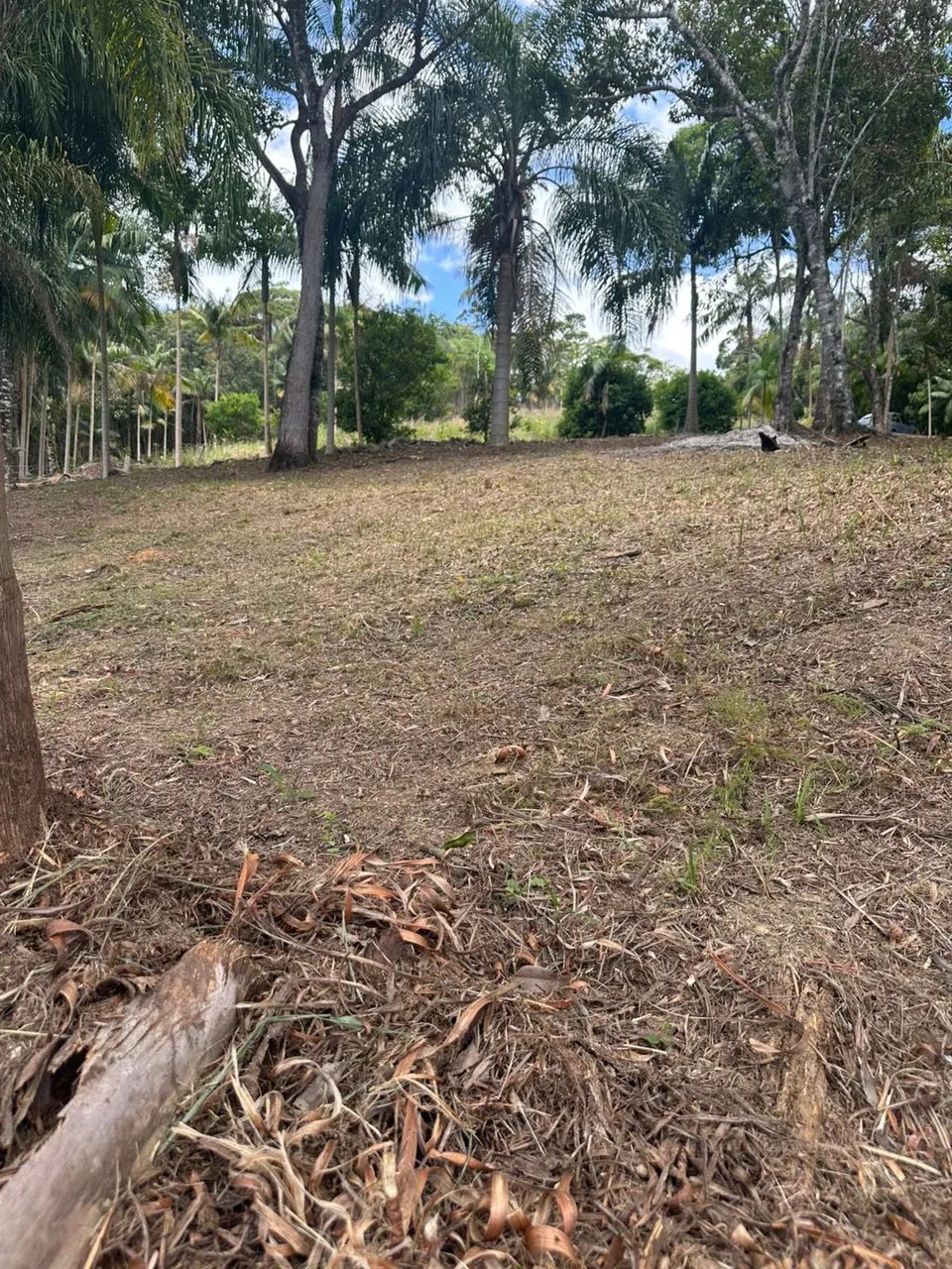 Foto - Santo Amaro da Imperatriz - 