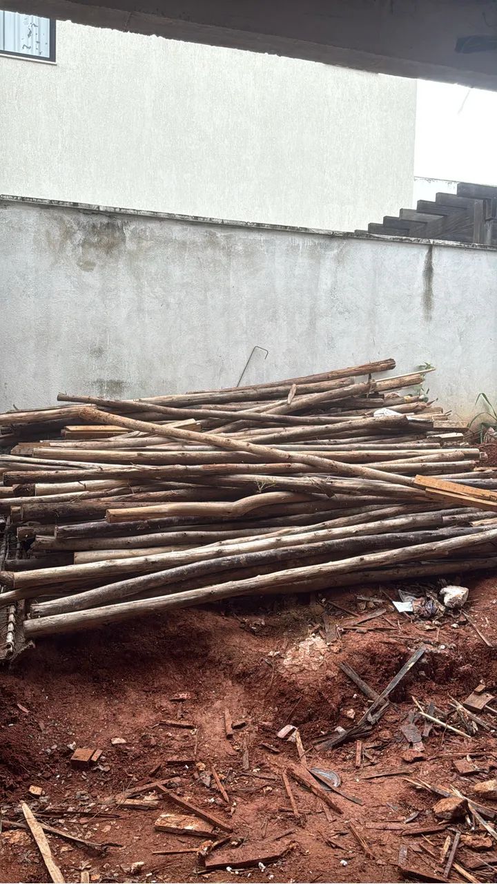 Escoras de eucalipto 64840851372418120