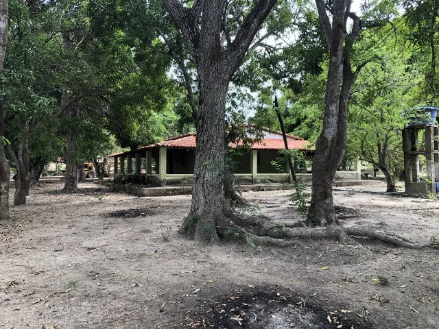 Sítio na Av. Dr. Nicanor Barreto de 12,5 hectares 10km do Aldebaran Leste (Cacimba Velha)
