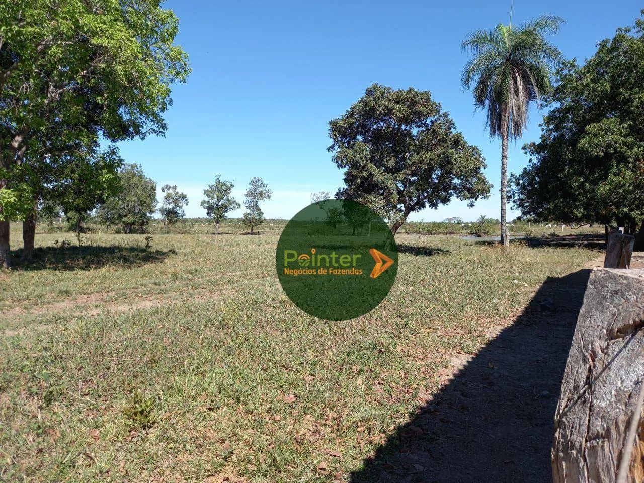 Fazenda à venda, por R$ 12.000.000 - Zona Rural - Cristalândia/TO - Foto 5